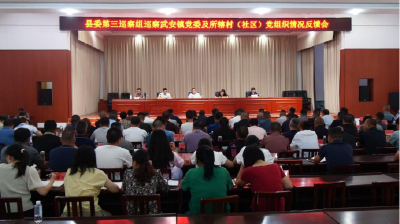 十五届县委第七轮巡察完成反馈