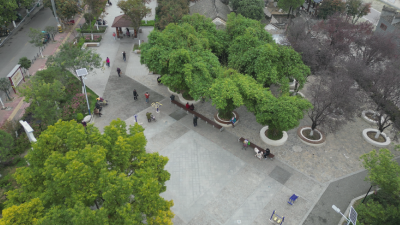 县住建局：五年攻坚焕新颜　安居畅行暖民心  