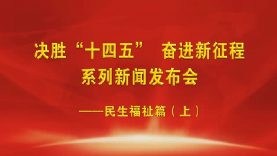 V视频丨十四五新闻发布会-民生福祉篇（上）