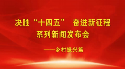 V视频丨十四五新闻发布会-乡村振兴篇