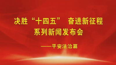V视频丨十四五新闻发布会-平安法治篇