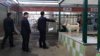 推进文明养犬　共建宜居环境  