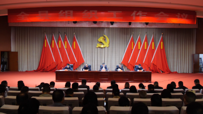 全县组织工作会议召开  