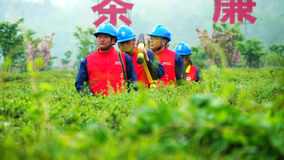 “春茶保电”专项行动护航全县十万亩春茶生产  
