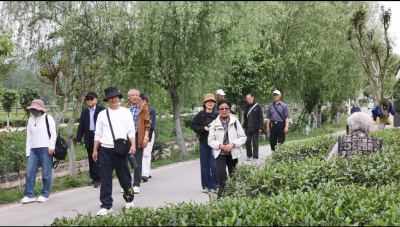 肖堰镇周湾村：茶香引客来　廉韵润心田  