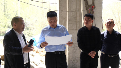 县领导调研传统村落保护项目建设情况