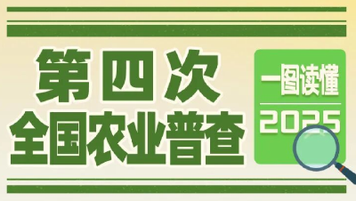一图读懂第四次全国农业普查 