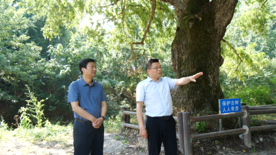 县政协开展重点提案督办工作  
