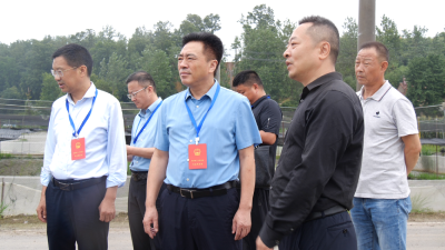 县人大常委会专题检查审议意见办理落实情况  