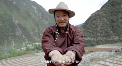 《每一粒粮食都应该被珍惜》 四川广播电视台