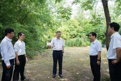 吴海涛调研林长制和鸟类保护工作时强调 全面加强鸟类等野生动物保护工作 坚决守牢生态安全底线 