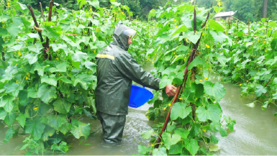 薛坪镇：干群同心　风雨共度