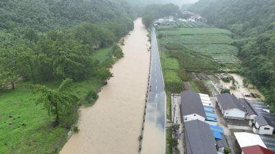 李庙镇：直面台风“白海豚”　全力抢险保安全  