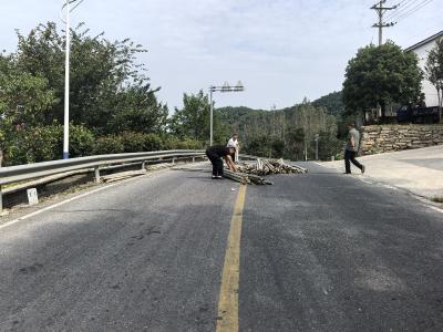 县公路中心快速清理散落路面毛竹  