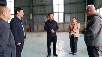 陈栋调研重点项目建设时强调：系统思维推项目 务实作风强保障 全力以赴促开工赶进度保投产
