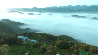 板桥镇冯家湾村：“古山寨+云端山居”串起古村落文旅新线路  