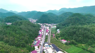 县住房和城乡建设局：用“绣花功夫”唤醒沉睡的古村落  