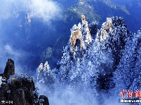 安徽黄山现春雪 雾淞 云海气象景观
