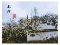 【原创】闻·春