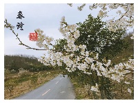 【原创】闻·春