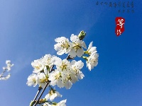 【原创】闻·春