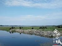 【谷城一角】汉江湿地“谷城蓝”
