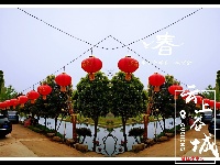 【谷城一角】暮春