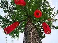 【谷城一角】暮春
