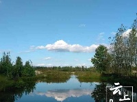 【谷城一角】汉江湿地“谷城蓝”