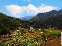 【谷城一角】深山