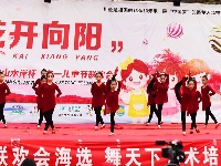 “君山水岸”杯“花开向阳”六一儿童节联欢会节目海选【舞天下专场】