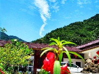 赵湾·七月