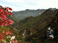 漫山红叶醉游人
