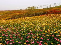 秋天里的回望