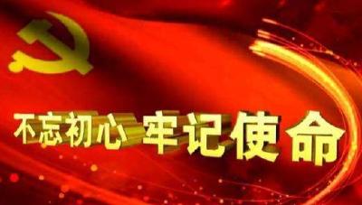 “督查+整治” 谷城推动巡察问题“见底清零” 
