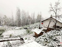 赵湾渔坪传奇美 飞雪迎春绿映红