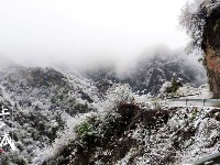 赵湾渔坪传奇美 飞雪迎春绿映红