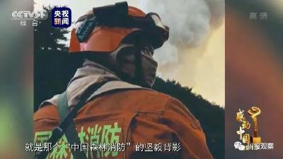 致敬！四川木里森林扑火勇士当选感动中国2019年度人物 