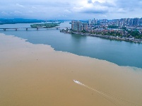 湖北襄阳：雨后汉江“泾渭分明”


