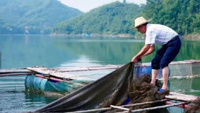 关于禁渔的法律法规 你必须知道！