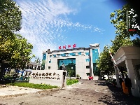 【图集】夏日一抹蓝，抬头所见，皆是希望
