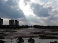 谷城汉江国家湿地公园