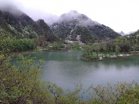 赵湾渔坪传奇美 飞雪迎春绿映红