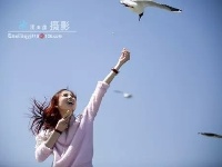 飞吧，飞吧！