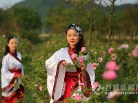 汉服秀惊艳老君山樱花谷