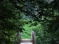 美丽堰河