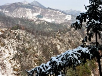赵湾雪景