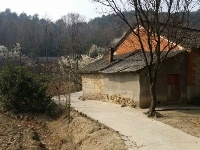 春到樱桃沟