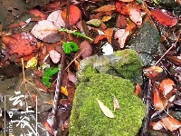 庙滩郭峪深秋美景