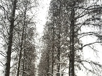 谷城不下雪，看人家武汉